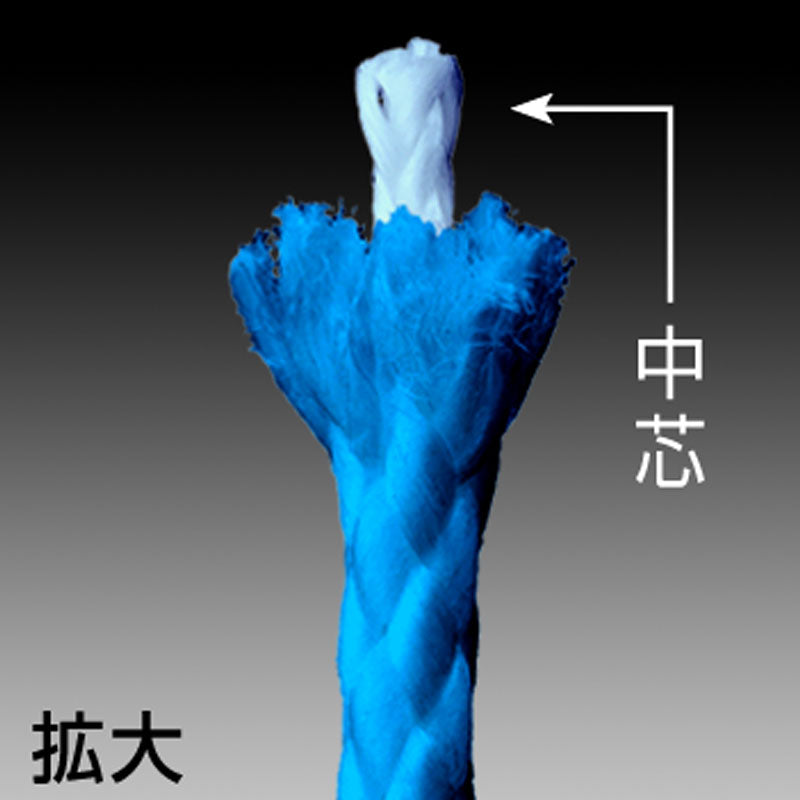 SHOUT! Blue Assist PE