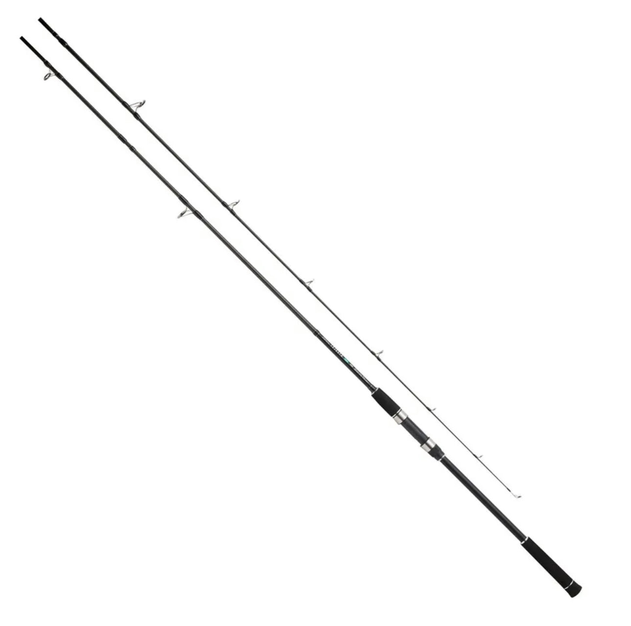 Pro Marine Lejesta Shore Jigging Rod