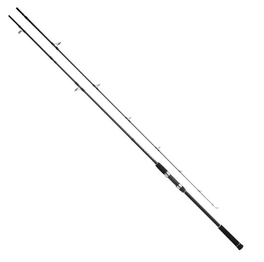 Pro Marine Lejesta Shore Jigging Rod