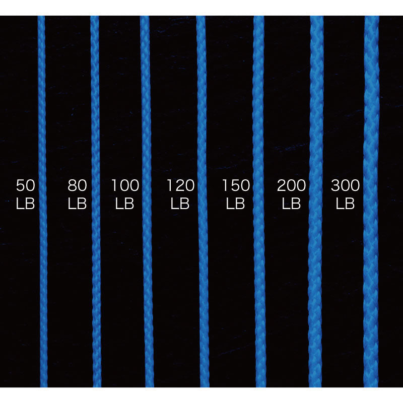 SHOUT! Blue Assist PE