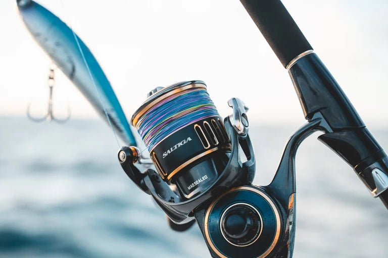 Daiwa Saltiga SW 2025