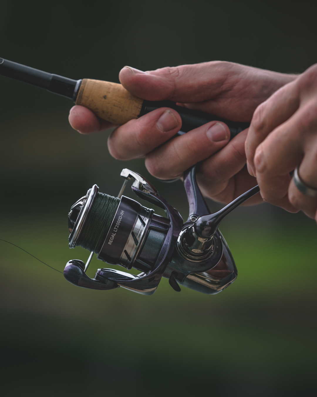 Daiwa Regal LT Spinning Reel