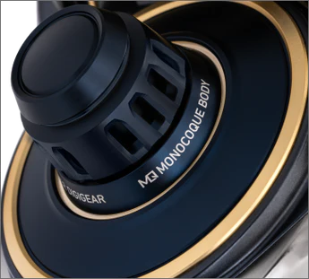 Daiwa Saltiga SW 2025
