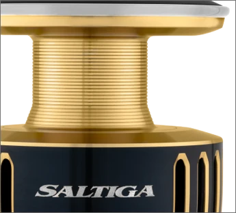 Daiwa Saltiga SW 2025